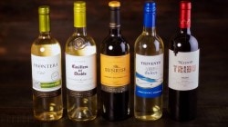 Frontera Sauvignon Blanc 075 Frontera Sauvignon Blanc 075