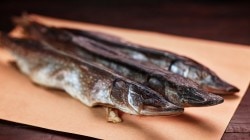 Щука вяленая Щука вяленая