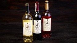 Вино EL COTO BLANCO 075 л 12% белсух Вино EL COTO BLANCO 075 л 12% белсух