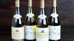 ALBERT BICHOT, CHATEAU DE DRACY PINOT NOIR, BOURGOGNE AOC ALBERT BICHOT, CHATEAU DE DRACY PINOT NOIR, BOURGOGNE AOC