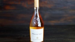 WHISPERING ANGEL ROSE AOC WHISPERING ANGEL ROSE AOC