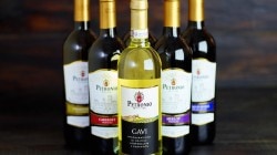 PETRONIO GAVI 0.75 л. PETRONIO GAVI 0.75 л.