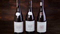 THE BERNARD SERIES OLD VINE 0.75 л. THE BERNARD SERIES OLD VINE 0.75 л.