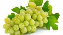 Вино (Roccaverde trebbiano rubicone белое) Вино (Roccaverde trebbiano rubicone белое)