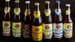 Пиво (Paulaner Hefe-weissbier Naturtrub 55% с/б) 033 л Пиво (Paulaner Hefe-weissbier Naturtrub 55% с/б) 033 л